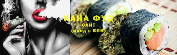 МДПВ Новозыбков