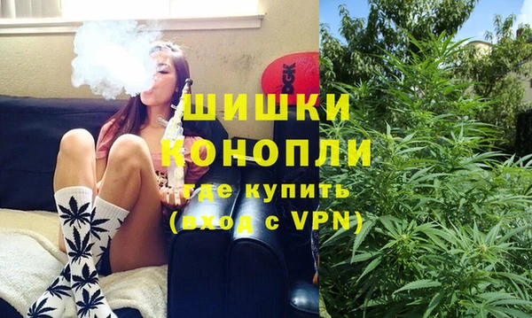 ПСИЛОЦИБИНОВЫЕ ГРИБЫ Новодвинск