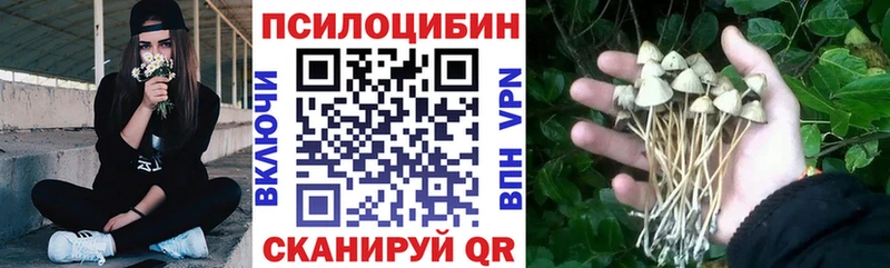 Галлюциногенные грибы GOLDEN TEACHER Руза