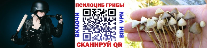 Псилоцибиновые грибы мицелий kraken как войти Руза