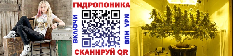 наркота  Руза  MEGA как зайти  Шишки марихуана OG Kush 